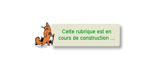 Page en construction