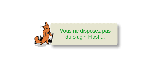 Vous ne disposez pas du plugin Flash
